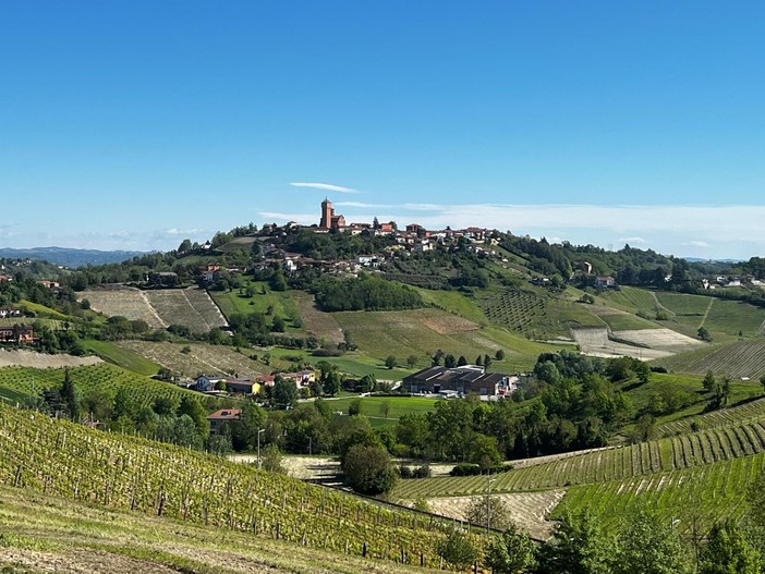 Mongardino