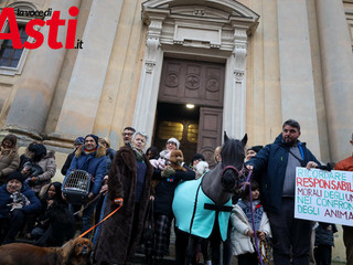 Ricca galleria fotografica a cura di Merfephoto - Efrem Zanchettin