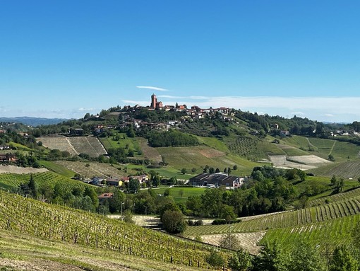 Mongardino