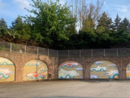 Inaugurato a Camerano Casasco il murales "Il delfino di Camerano": un ponte tra arte e paleontologia Inaugurato a Camerano Casasco il murales "Il delfino di Camerano": un ponte tra arte e paleontologia