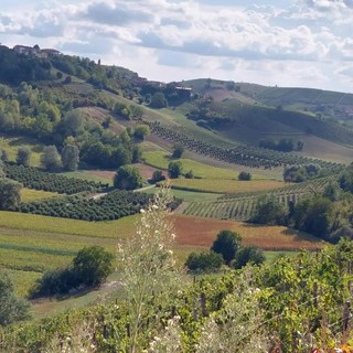 Mongardino entra nella famiglia dei Comuni Amis di Gite Fuori Porta in Piemonte: un nuovo angolo di Monferrato da scoprire