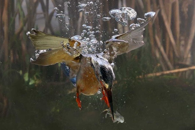 Alcune delle splendide fotografie in mostra