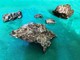 Dall'universo al Magmax: una collezione di meteoriti alla Torre Quartero