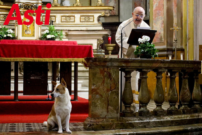 Ricca galleria fotografica a cura di Merfephoto - Efrem Zanchettin
