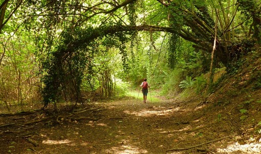 Vacanze Astigiane nella biodiversità della Val Sarmassa