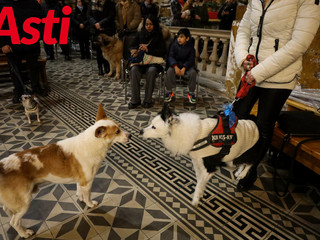 Ricca galleria fotografica a cura di Merfephoto - Efrem Zanchettin