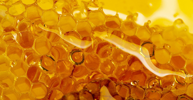 Vacanze Astigiane su un nuovo dolce itinerario