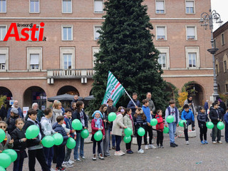Galleria fotografica di Efrem Zanchettin - Video di Giulia Frontino Galleria fotografica di Efrem Zanchettin - Video di Giulia Frontino
