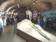&quot;Notte al Museo&quot; incanta gli spettatori tra i fossili