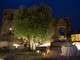 Immagini del castello di Moasca