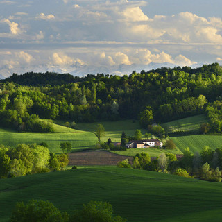 Un bellissimo scatto di natura Astigiana ritratta dal fotografo Enzo Isaia