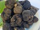 “Nero Sublime” torna a Castagnole delle Lanze: dal 19 al 21 giugno la seconda edizione del festival dedicato al tartufo nero estivo “Nero Sublime” torna a Castagnole delle Lanze: dal 19 al 21 giugno la seconda edizione del festival dedicato al tartufo nero estivo