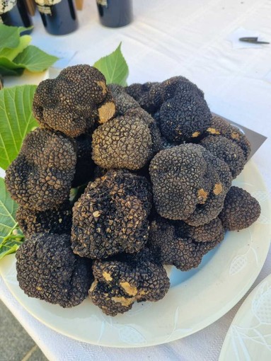“Nero Sublime” torna a Castagnole delle Lanze: dal 19 al 21 giugno la seconda edizione del festival dedicato al tartufo nero estivo “Nero Sublime” torna a Castagnole delle Lanze: dal 19 al 21 giugno la seconda edizione del festival dedicato al tartufo nero estivo