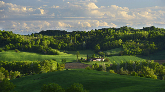 Un bellissimo scatto di natura Astigiana ritratta dal fotografo Enzo Isaia