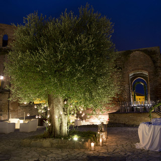 Immagini del castello di Moasca