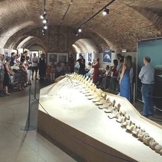 &quot;Notte al Museo&quot; incanta gli spettatori tra i fossili