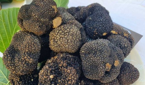 “Nero Sublime” torna a Castagnole delle Lanze: dal 19 al 21 giugno la seconda edizione del festival dedicato al tartufo nero estivo “Nero Sublime” torna a Castagnole delle Lanze: dal 19 al 21 giugno la seconda edizione del festival dedicato al tartufo nero estivo