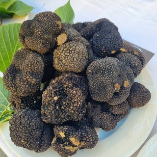 “Nero Sublime” torna a Castagnole delle Lanze: dal 19 al 21 giugno la seconda edizione del festival dedicato al tartufo nero estivo