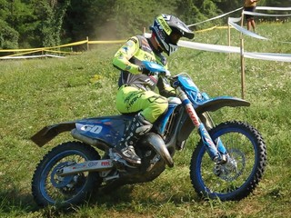 Orsi Orsi