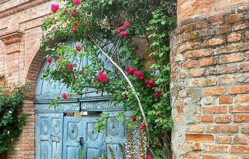 Viviamo in un posto bellissimo pieno di piccoli, grandi valori Viviamo in un posto bellissimo pieno di piccoli, grandi valori