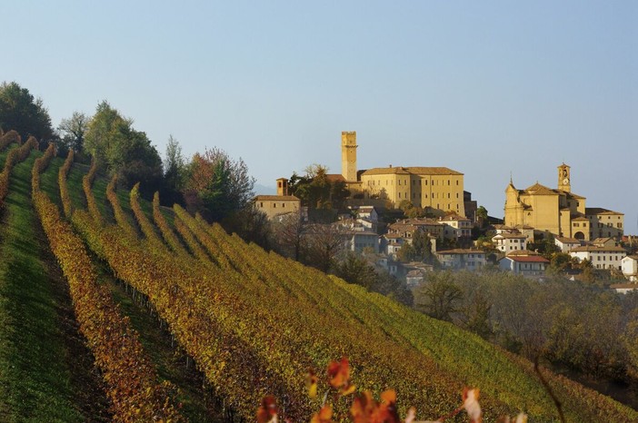 Al via la Fiera Internazionale del Tartufo Bianco Trifola d’Or a Murisengo Monferrato Al via la Fiera Internazionale del Tartufo Bianco Trifola d’Or a Murisengo Monferrato