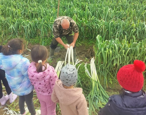 “Il Porro Cervere va a scuola!”: un progetto educativo che cresce con gli studenti e porta la filiera nelle aule “Il Porro Cervere va a scuola!”: un progetto educativo che cresce con gli studenti e porta la filiera nelle aule