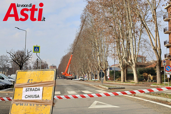 Modifiche temporanee al traffico per la manutenzione del verde pubblico