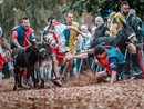 A Cocconato è tutto pronto per il Palio degli asini, che si disputerà domenica 22 settembre