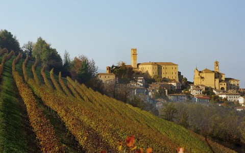Al via la Fiera Internazionale del Tartufo Bianco Trifola d’Or a Murisengo Monferrato