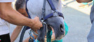 Ricca fotogallery di MerfePhoto