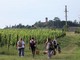 Un'immagine (ph, Merfephoto - Efrem Zanchettin) di un precedente 'pic-nic' organizzato presso il Bosco degli Astigiani