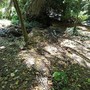 Parco Rio Crosio, allarme dei cittadini: “Fossi ostruiti e rischio frane”