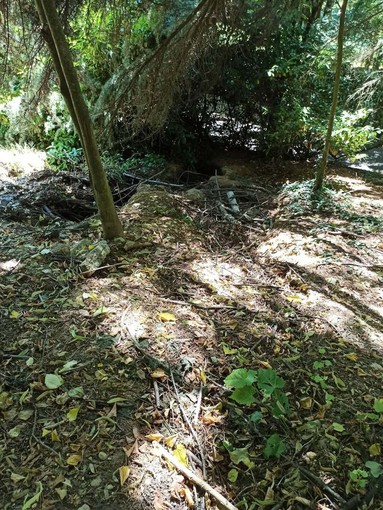 Parco Rio Crosio, allarme dei cittadini: “Fossi ostruiti e rischio frane” Parco Rio Crosio, allarme dei cittadini: “Fossi ostruiti e rischio frane”