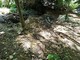 Parco Rio Crosio, allarme dei cittadini: “Fossi ostruiti e rischio frane”
