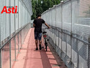 Le foto del servizio sono di Efrem Zanchettin Le foto del servizio sono di Efrem Zanchettin