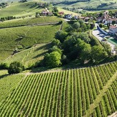 Castiglione Falletto investe sulla biodiversità: i prati di San Lorenzo come spazio vivo tra natura e comunità