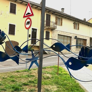 Pesciolini in strada a Villafranca
