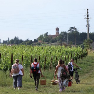 Un'immagine (ph, Merfephoto - Efrem Zanchettin) di un precedente 'pic-nic' organizzato presso il Bosco degli Astigiani