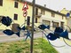 Pesciolini in strada a Villafranca