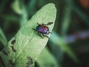 Foto di Richie Bettencourt - tamite Unsplash Foto di Richie Bettencourt - tamite Unsplash