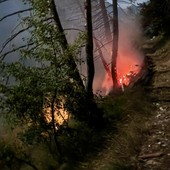 Emergenza incendi boschivi e siccità: la Regione estende all'intero Piemonte lo stato di emergenza regionale Emergenza incendi boschivi e siccità: la Regione estende all'intero Piemonte lo stato di emergenza regionale