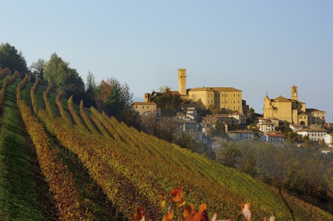 Al via la Fiera Internazionale del Tartufo Bianco Trifola d’Or a Murisengo Monferrato