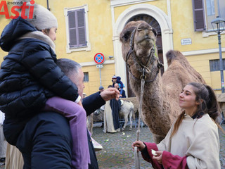 MerfePhoto MerfePhoto