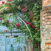 Viviamo in un posto bellissimo pieno di piccoli, grandi valori Viviamo in un posto bellissimo pieno di piccoli, grandi valori