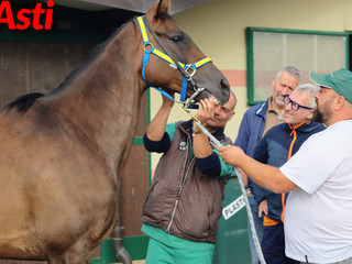 Ricca fotogallery di MerfePhoto