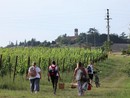 Un'immagine (ph, Merfephoto - Efrem Zanchettin) di un precedente 'pic-nic' organizzato presso il Bosco degli Astigiani Un'immagine (ph, Merfephoto - Efrem Zanchettin) di un precedente 'pic-nic' organizzato presso il Bosco degli Astigiani