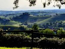 Panorama sull'Astigiano dal Bricco dei 31 paesi