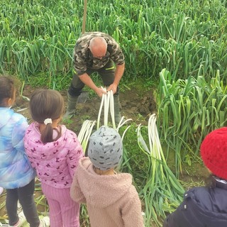 “Il Porro Cervere va a scuola!”: un progetto educativo che cresce con gli studenti e porta la filiera nelle aule