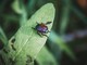 Foto di Richie Bettencourt - tamite Unsplash