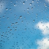 Immagine di repertorio